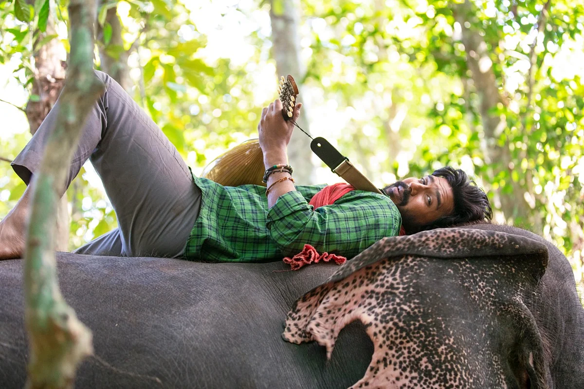 காடன்