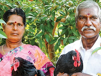 4.5 ஏக்கர்... ஆண்டுக்கு ரூ. 8,56,250 - ஒப்பற்ற லாபம் கொடுக்கும் ஒருங்கிணைந்த பண்ணை!