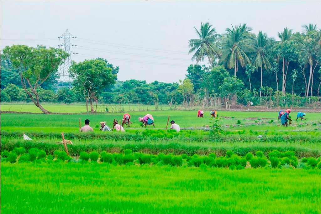 இயற்கை விவசாயம்