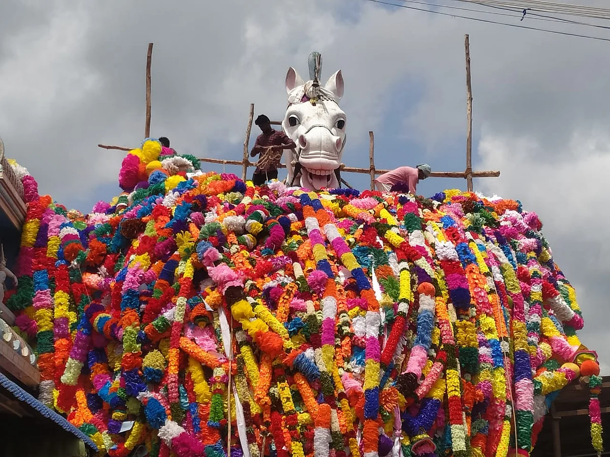 `ஆசியாவின் பெரிய குதிரை சிலைக்குக் குவிந்த மாலைகள்!' - புதுக்கோட்டையில் களைகட்டிய மாசித் திருவிழா