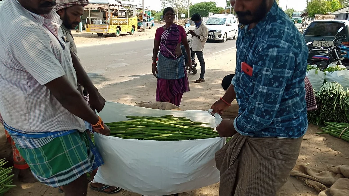 முருங்கையோடு விவசாயிகள்..