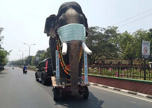 யானை பொம்மைக்கு மாஸ்க்