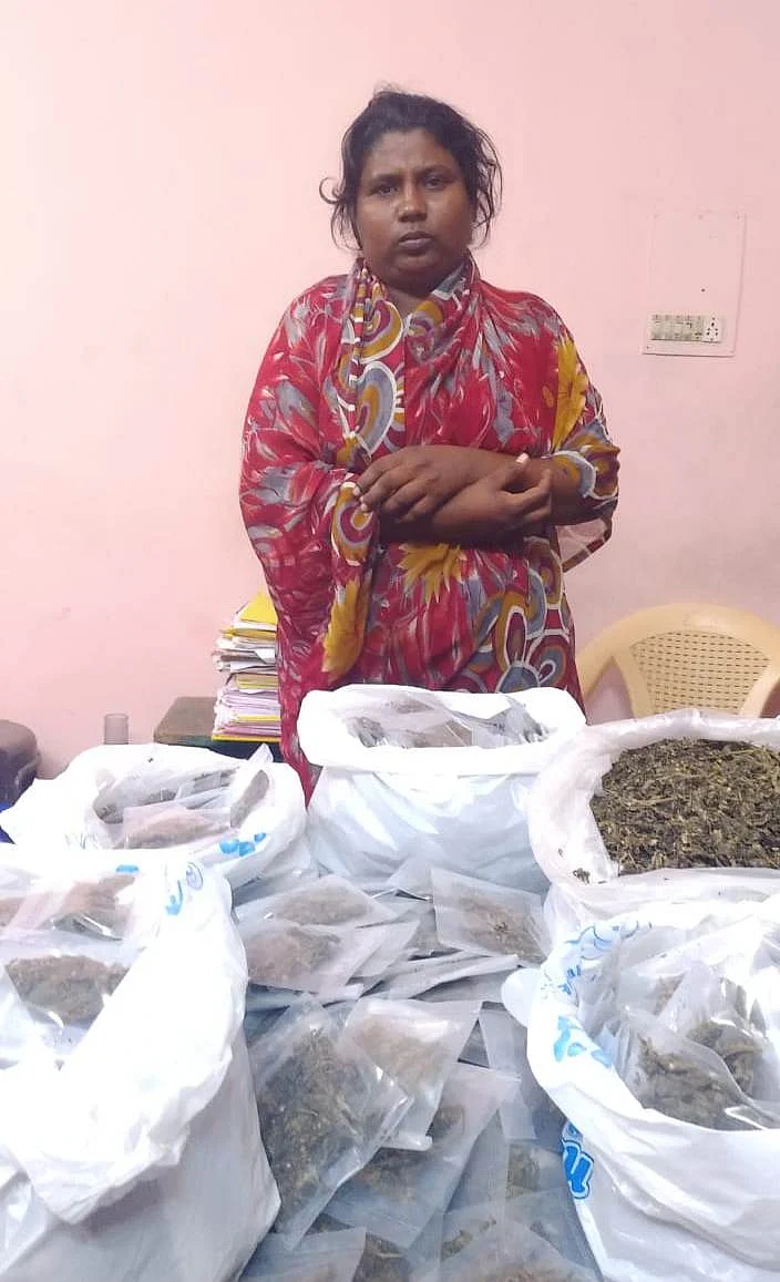 திருவண்ணாமலையில் கஞ்சா விற்பனை செய்த பெண்