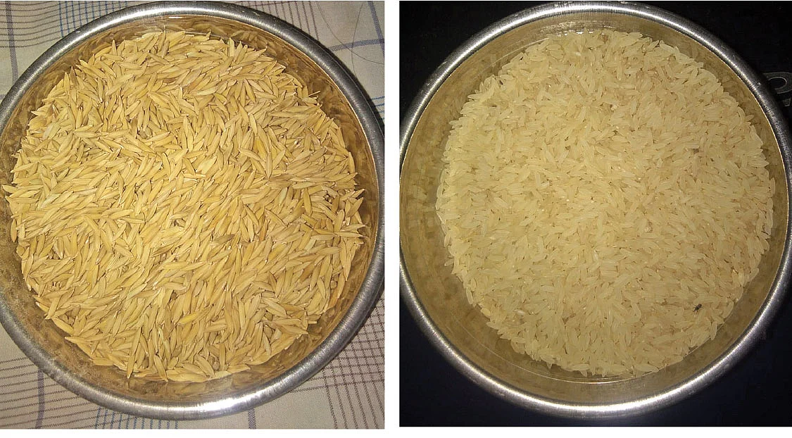 அரிசி