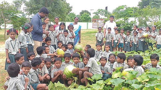 பரங்கிக்காயுடன் மாணவ, மாணவியர்