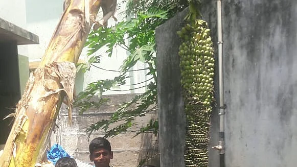 வாழைத் தார் அருகே மாணவர்கள்