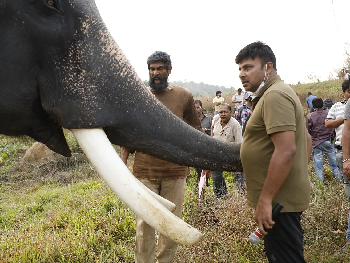 ``தனுஷோட நடிப்புக்கு `தொடரி'ல என்னால தீனி போட முடியல; ஏன்னா!" - பிரபு சாலமன்