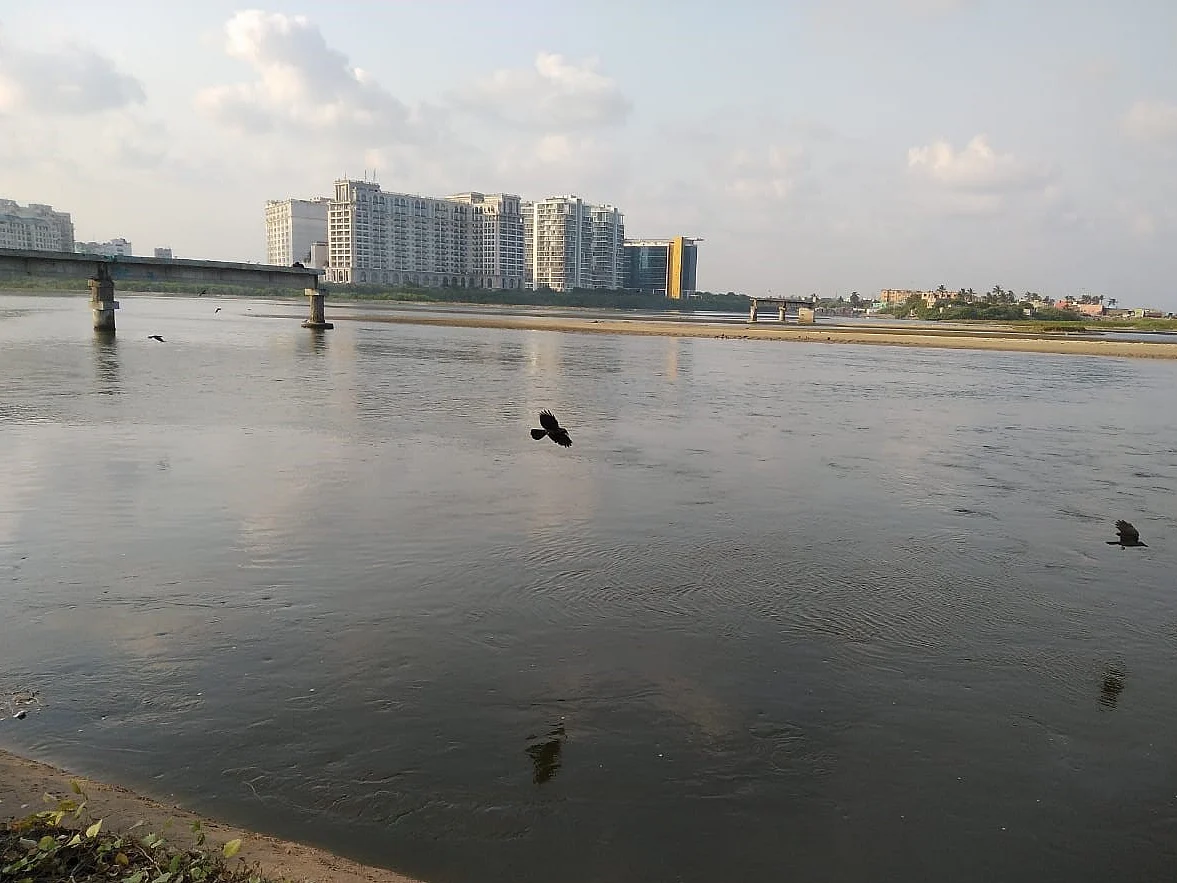 சென்னையின் வளர்ச்சிக்கு நடுவே வீழ்ந்த அடையாறு; ஒரு காலத்தில் எப்படி விளங்கியது தெரியுமா?