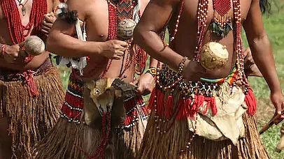 பழங்குடிகள்