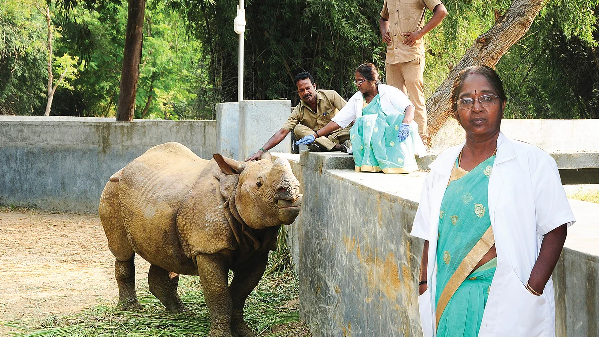 டாக்டர் நளினி