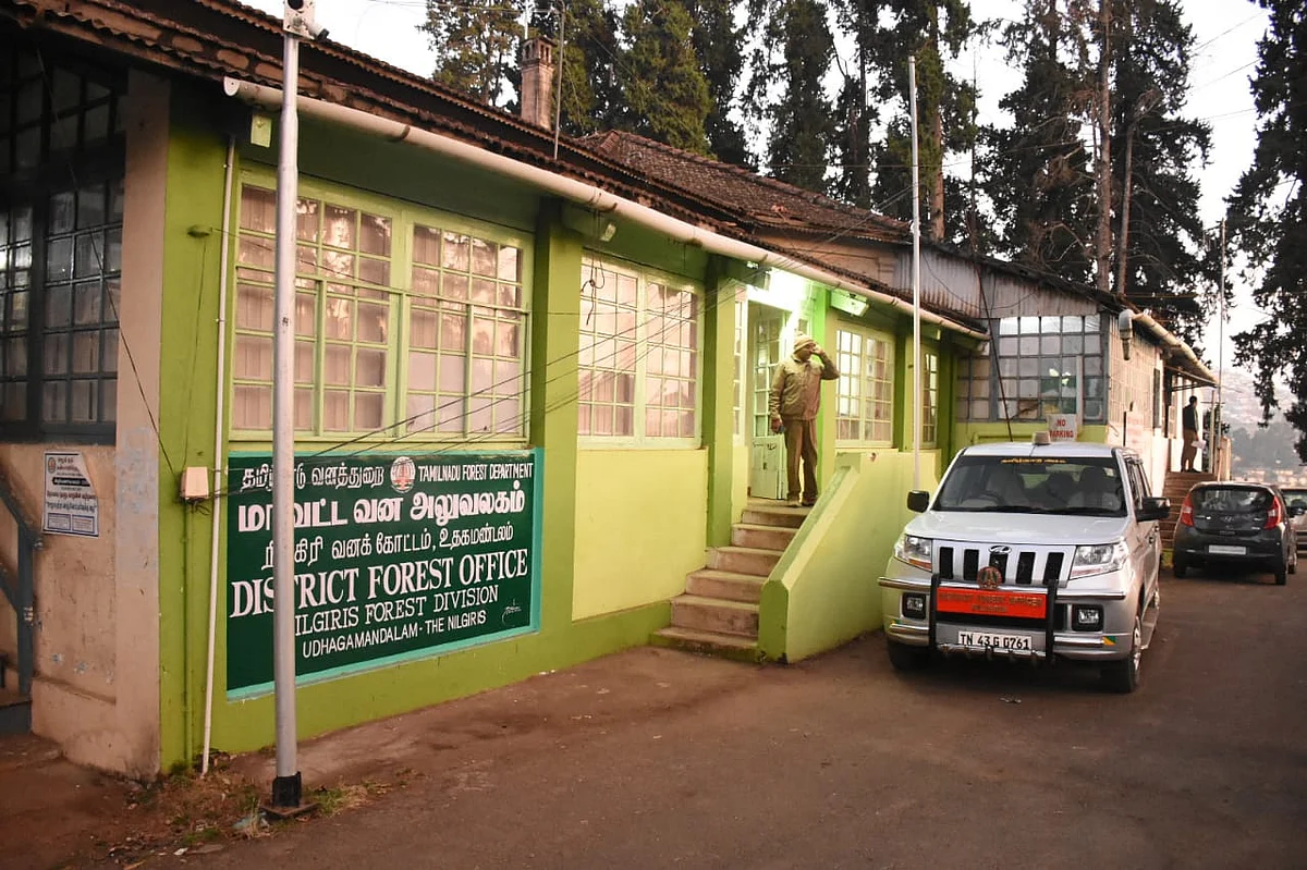forest office