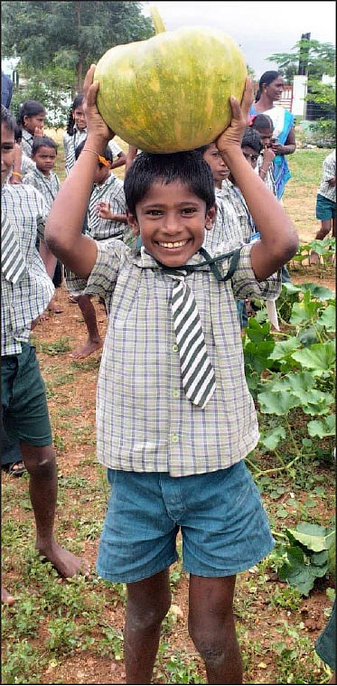 நஞ்சில்லாக் காய்கறியில் மதிய உணவு!