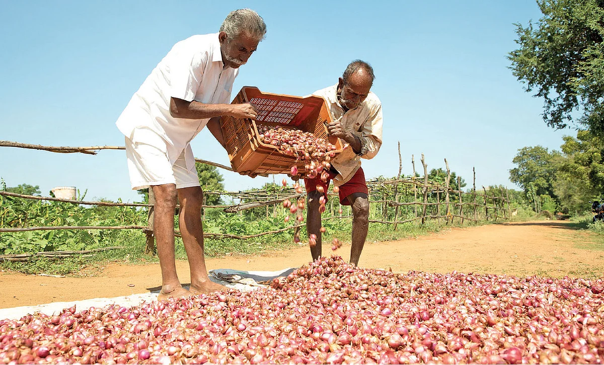 வெங்காயம் காயவைக்கும் பணியில் சிறைவாசிகள்