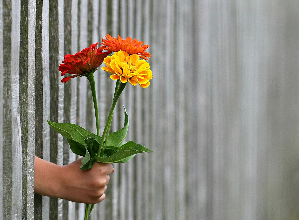 Representational Image