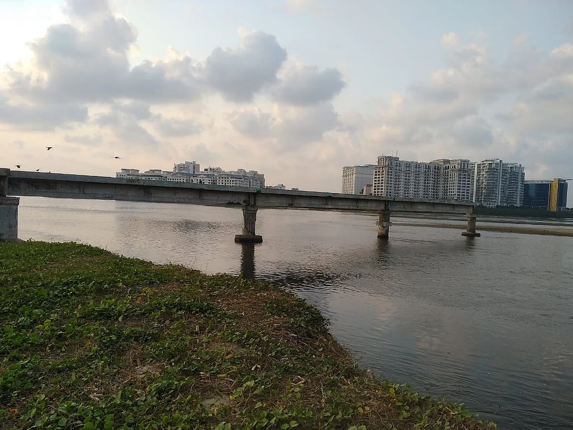 பெசன்ட் நகர் - மெரினா இணைப்புச் சாலை... மீனவர்களின் வாழ்தாரத்திற்கு ஆபத்தா? - ஓர் அலசல்