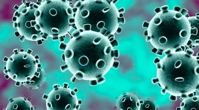 koronavirus