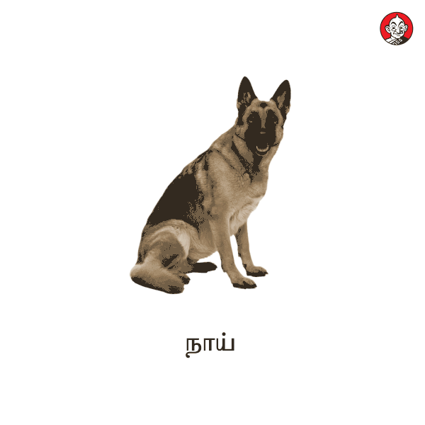 சீன இறைச்சி வகைகள்