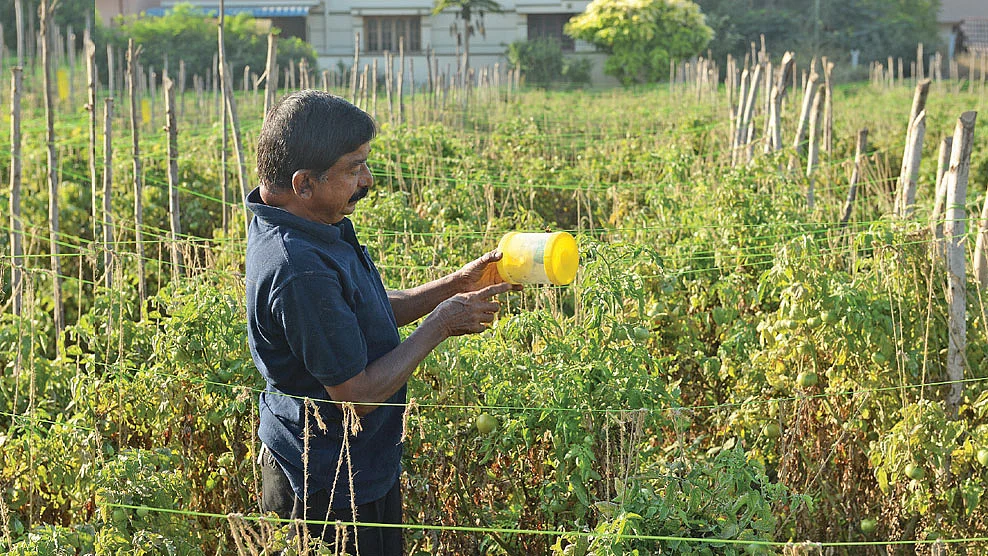 பாலசுப்பிரமணியன்