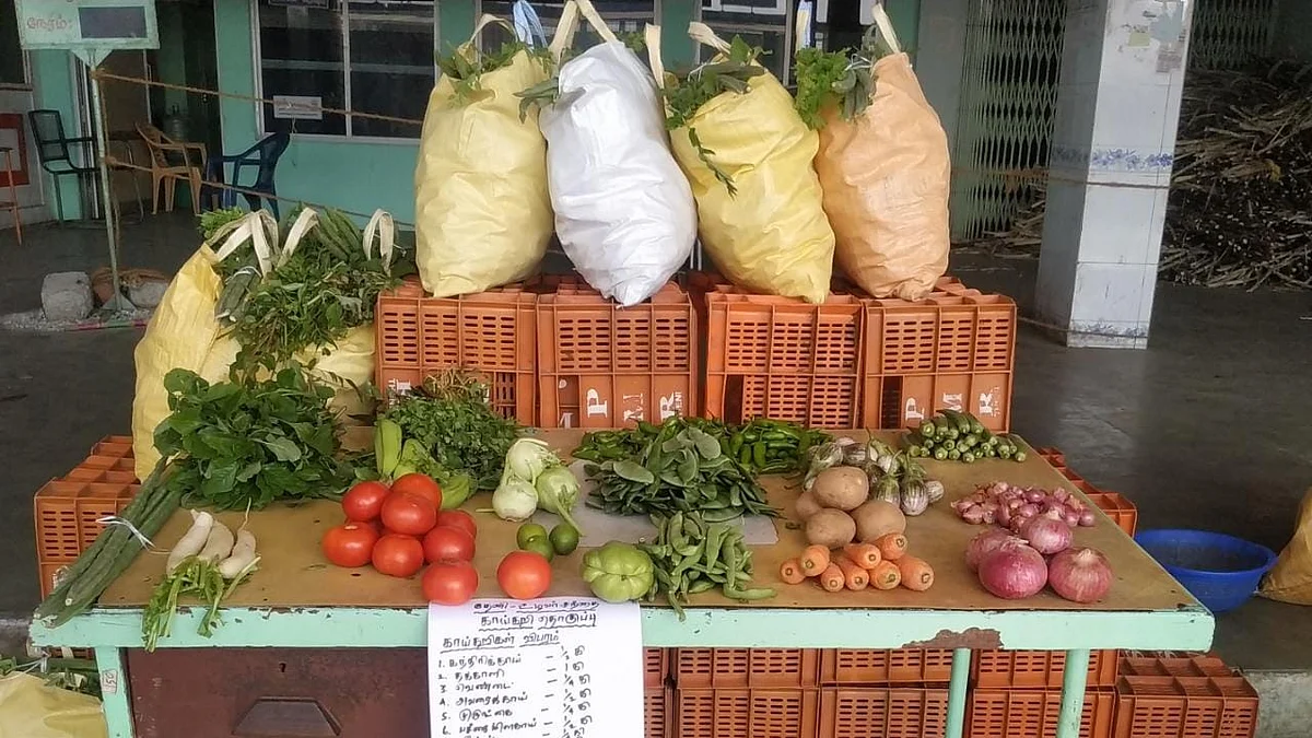 காய்கறித் தொகுப்புப் பை