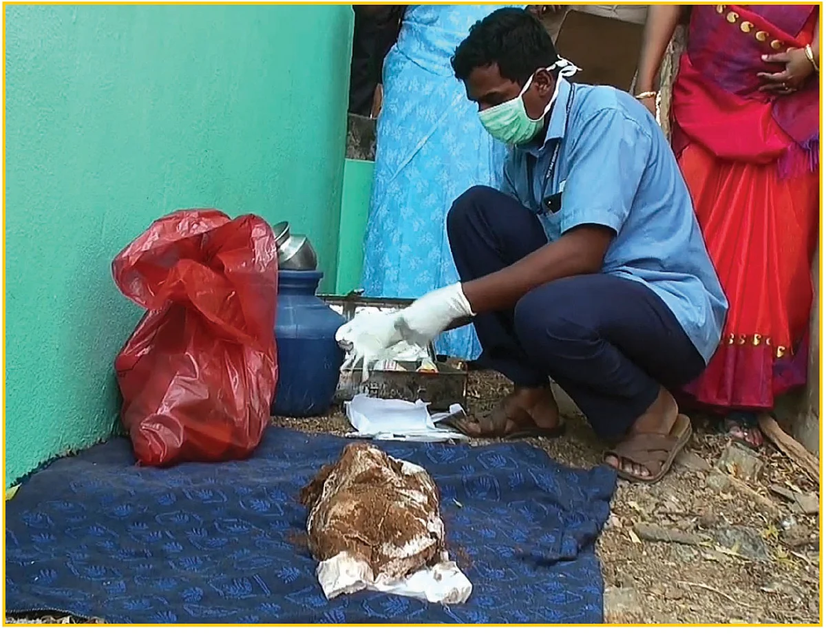 பெண் சிசுக் கொலை