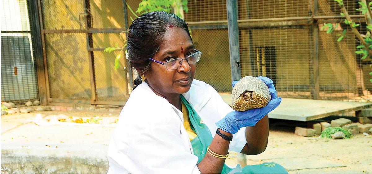 டாக்டர் நளினி