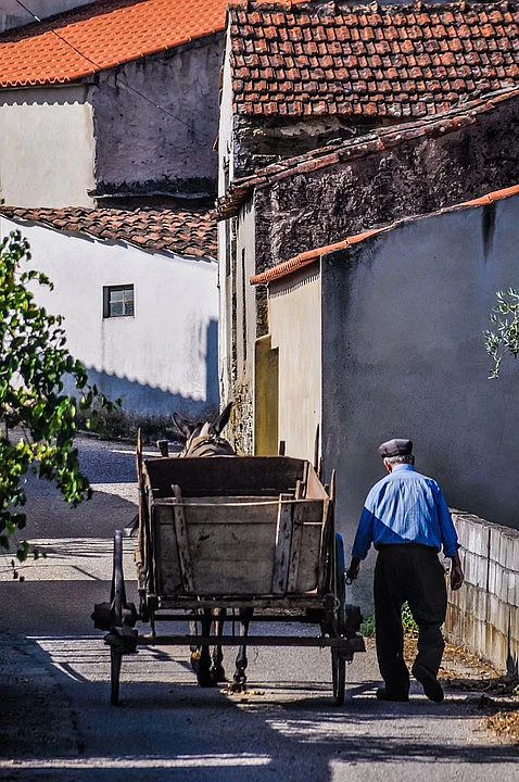 Representational Image