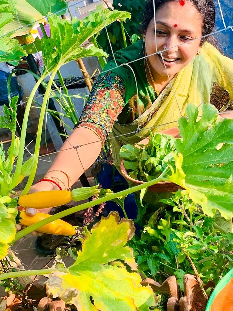 மாடித்தோட்டத்தில் சீதா