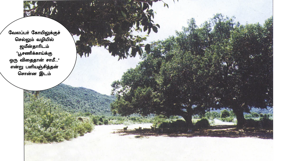 வருச நாட்டு ஜமீன் கதை - 16