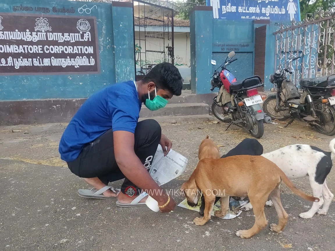 `தினமும் 250 நாட்டு நாய்களுக்கு உணவு...!' - ஊரடங்கில் பசியாற்றும் கோவை இளைஞர்