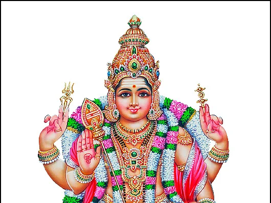 நோய் போக்கும் பாலதண்டாயுதபாணி... இல்லம் தேடிவரும் இறை தரிசனம்! #worshipathome