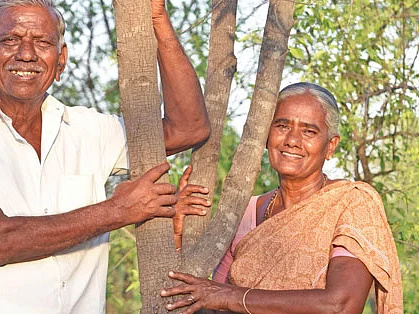 சந்தனமரச் சாகுபடி - வங்கியிலிருக்கும் வைப்புநிதி!