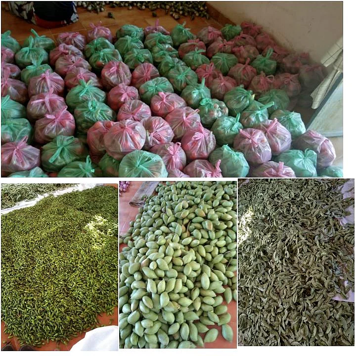 காய்கறி தொகுப்பு