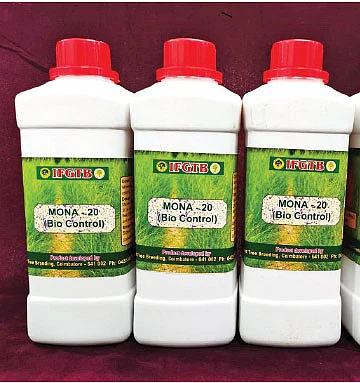 மகத்தான லாபம் தரும் மரச்சாகுபடி!