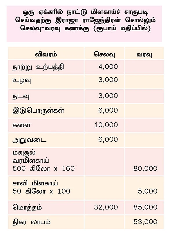 ஏக்கருக்கு ரூ. 85,000... வற்றல் மிளகாய் தந்த வருமானம்!