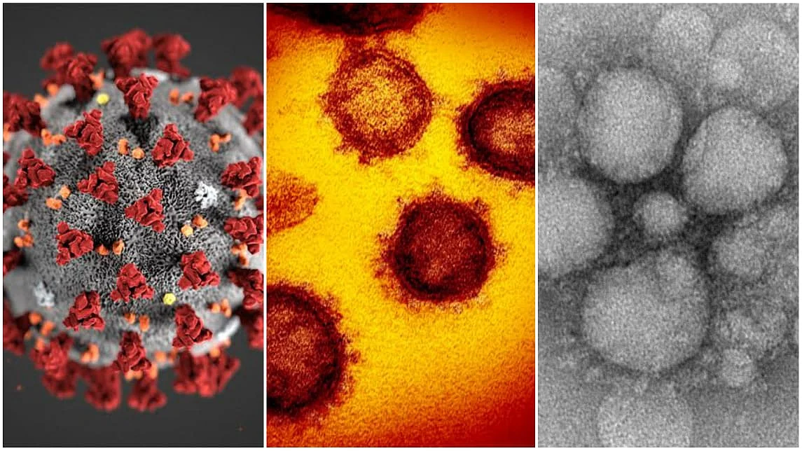COVID-19 / SARS/MERS