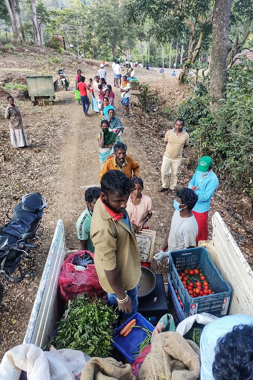 நேரடி விற்பனையில் நீலகிரி தோட்டக்கலை