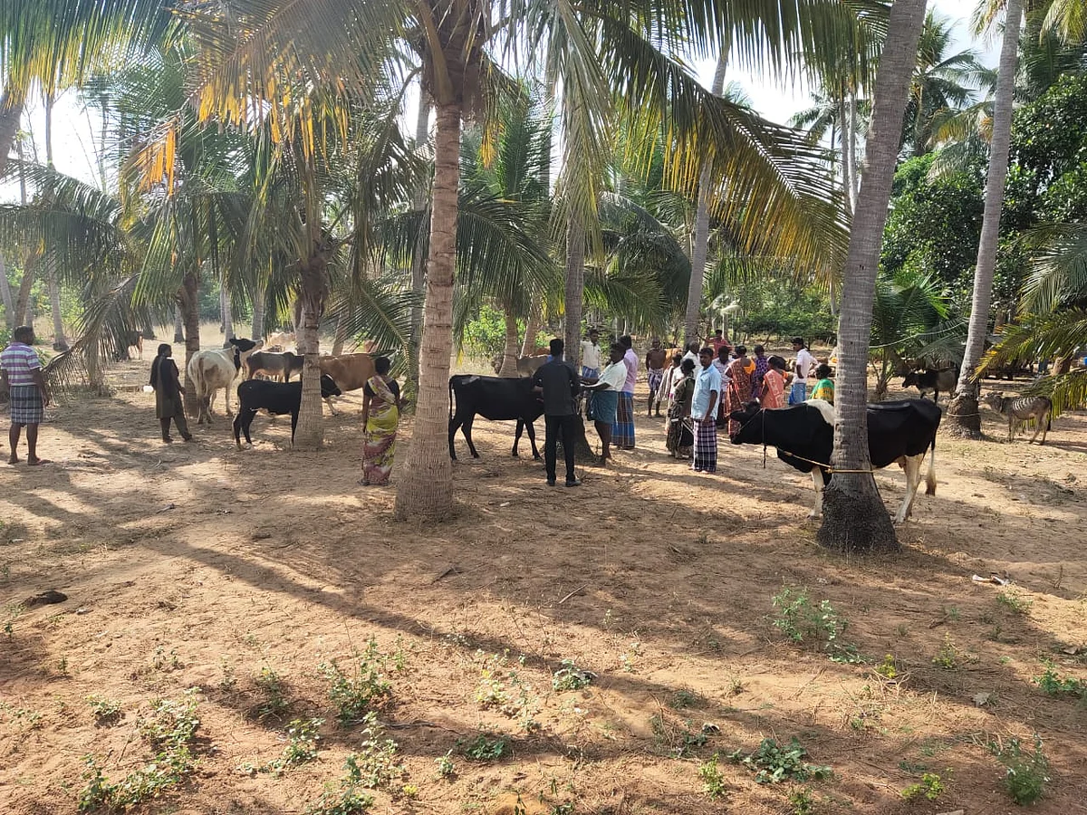முடச்சிக்காடு