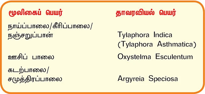 நல்மருந்து 2.0 - ஆஸ்துமாவை குணமாக்கும் நஞ்சறுப்பான்... கட்டிகளை உடைக்கும் கடற்பாலை!