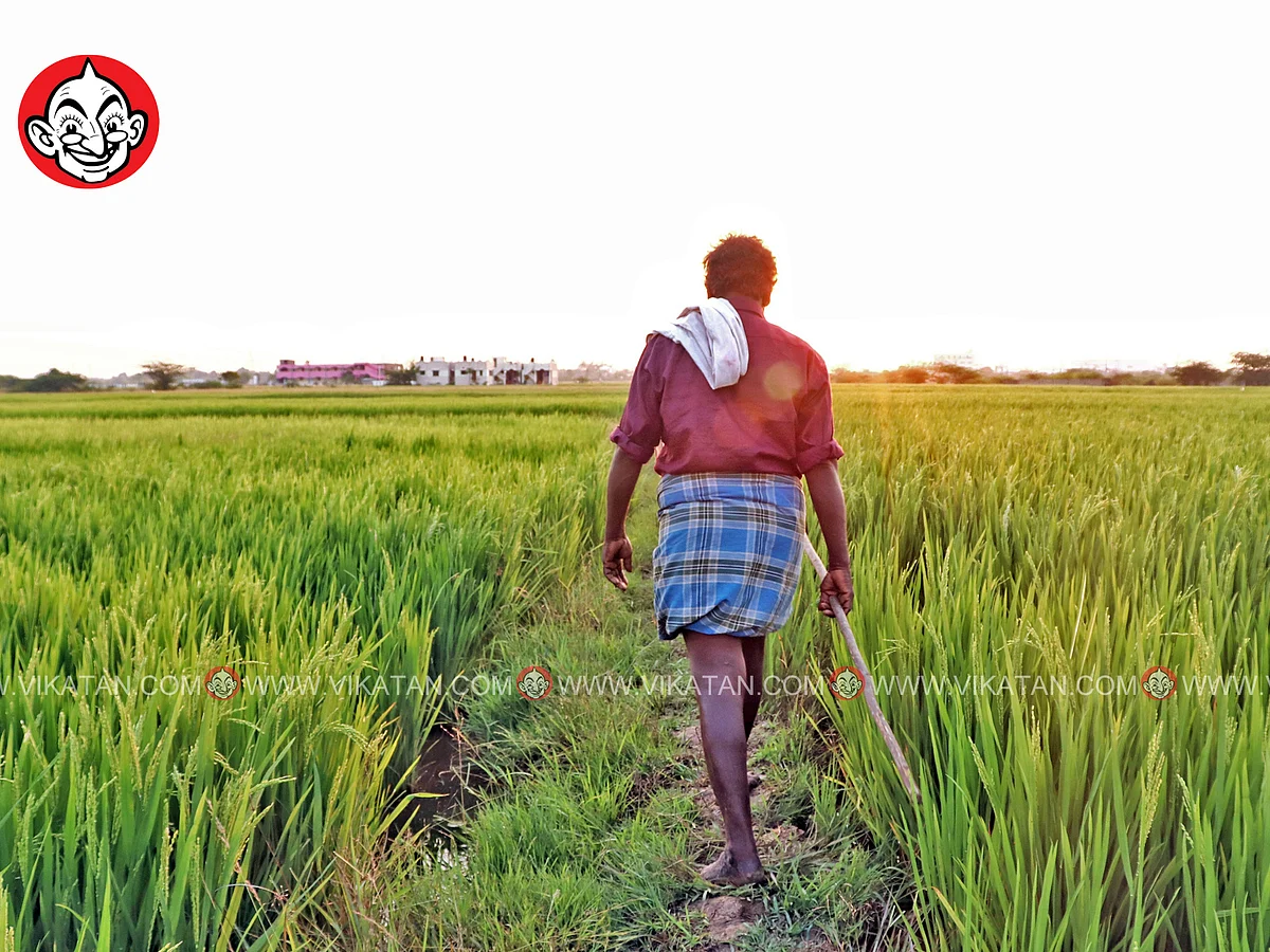 'விவசாய அறிவிப்புகளும்; 20 லட்சம் கோடியும்' - விவசாயிகளுக்கு ஏற்றமா... ஏமாற்றமா?!