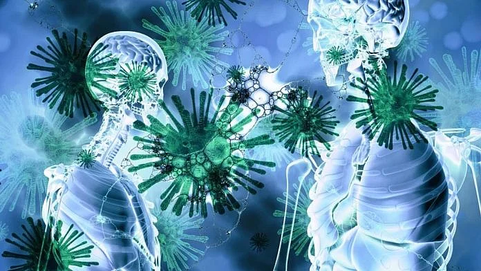 Disease carrier