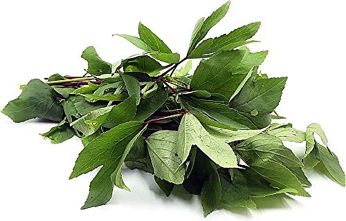 புளிச்ச கீரை