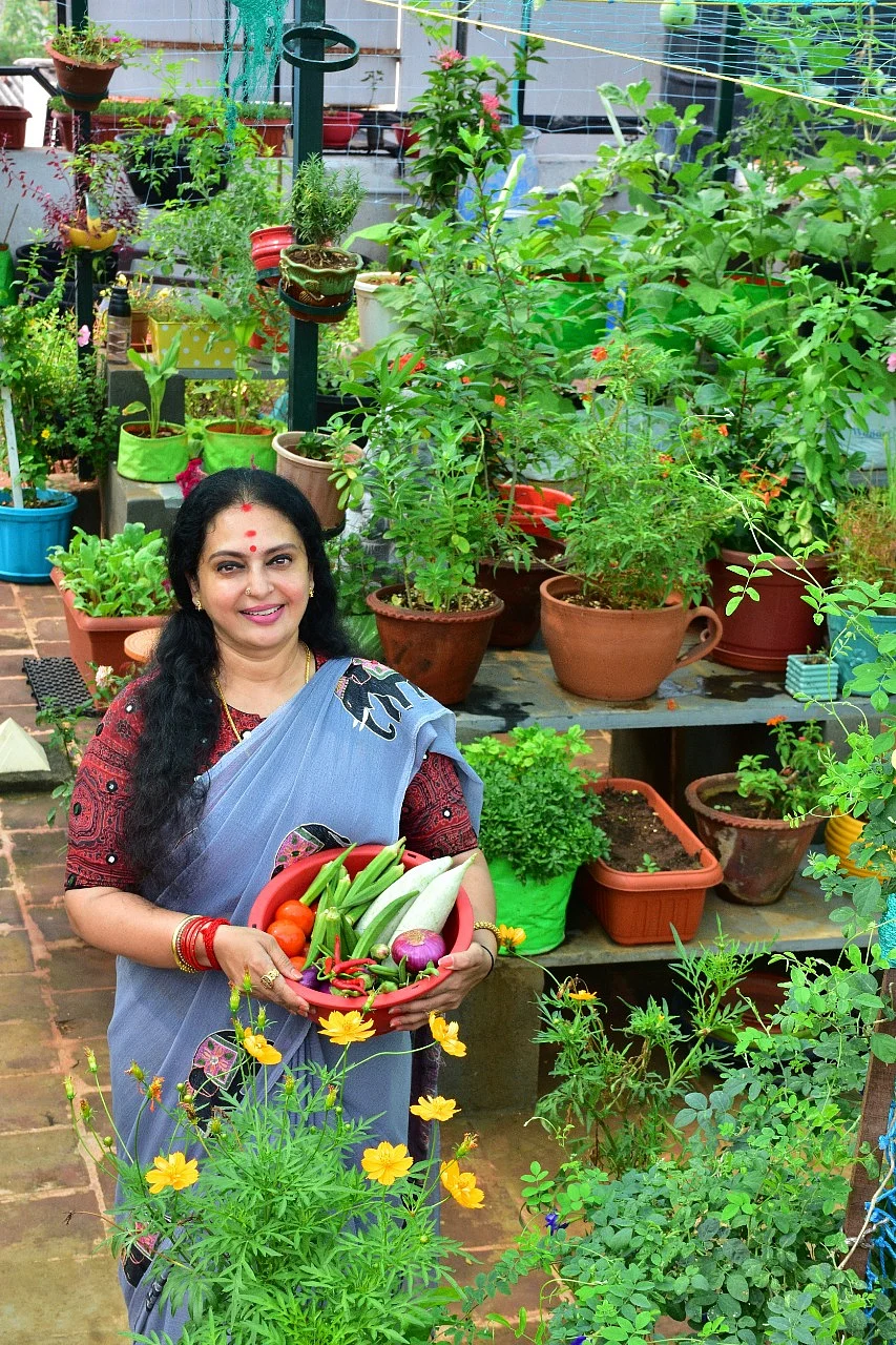 மாடித்தோட்டத்தில் சீதா