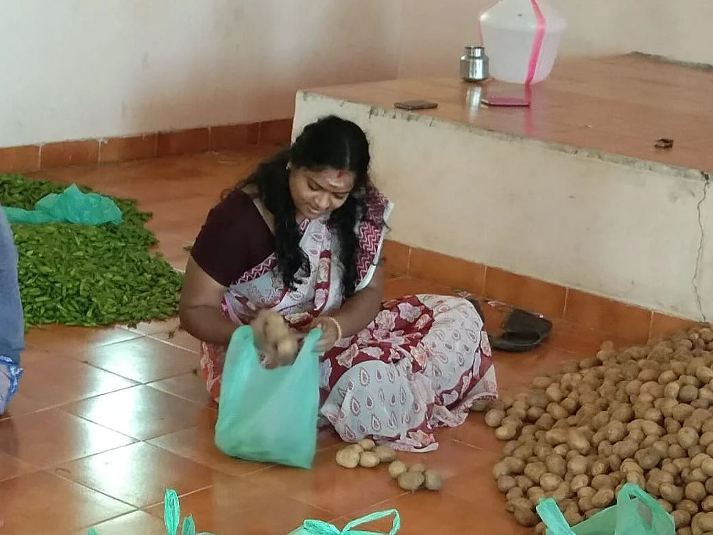 காய்களை பேக்கிங் செய்யும் ஒன்றிய தலைவர்