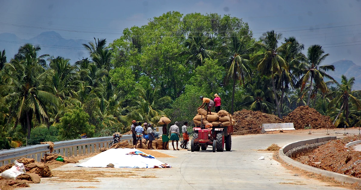 நெல்மணிகளை மூட்டை மூட்டையாக விற்பனைக்கு வாகனத்தில் ஏற்றும் விவசாயிகள்