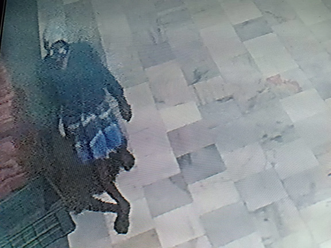 திருடன்