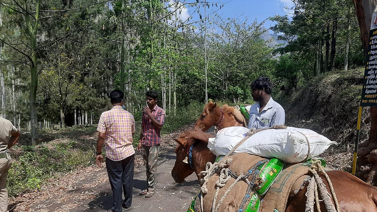 கழுதையில் கொண்டு செல்லப்படும் அத்யாவசியப் பொருள்கள்