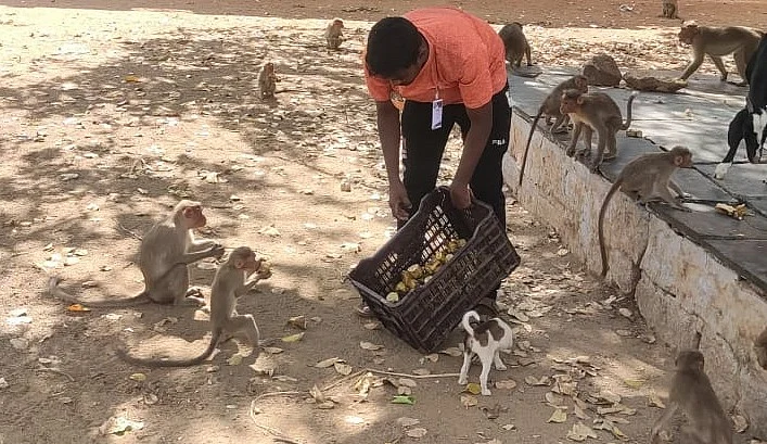 குரங்குகள்