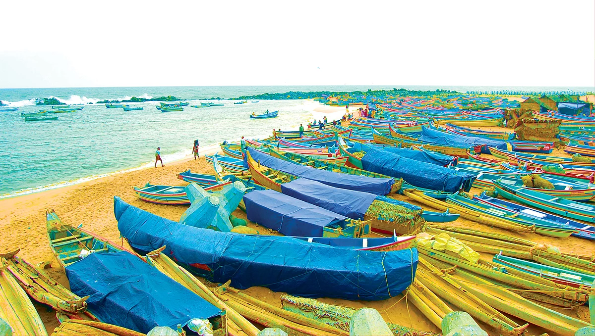 மீன்பிடி படகுகள் | மீன்பிடி நிறுவன மேலாண்மை பட்டப்படிப்பு