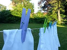 cloths