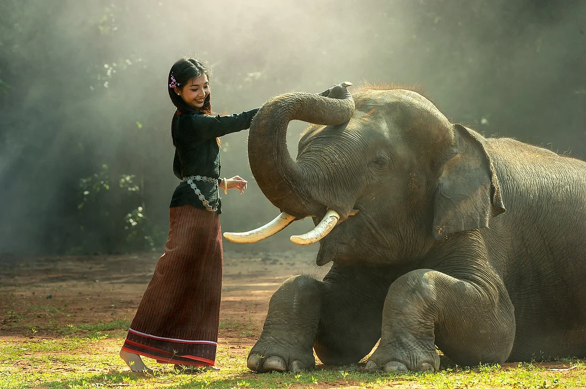 Representational Image
